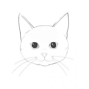 How to draw a cat (1) How to draw a basic face | MediBang Paint