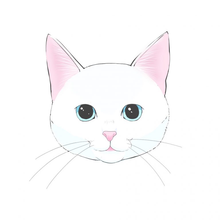 how to draw a cat face easy