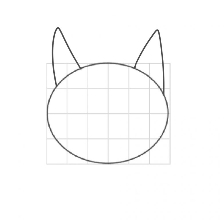 Easy Drawing Guide: How to Draw a Cat Face | XPPen