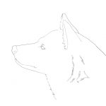 How to draw a dog (1) How to draw a basic face | MediBang Paint