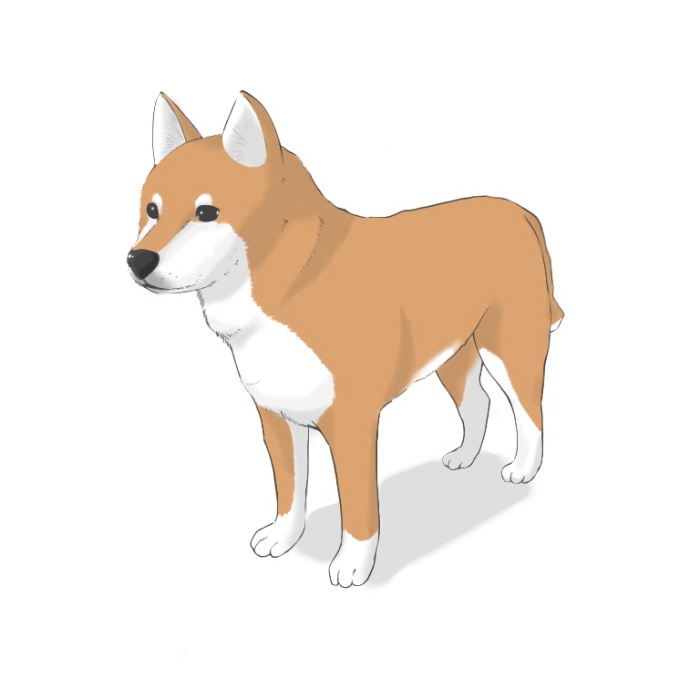 How to draw a dog (2) How to draw the body and pose | MediBang Paint - the  free digital painting and manga creation software