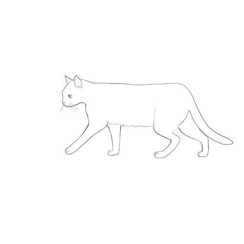 How to draw a cat (2) How to draw the body and pose MediBang Paint