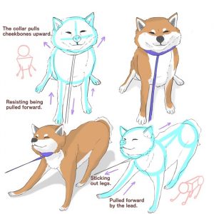 dog poses drawing