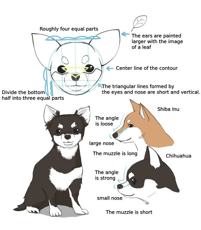 How To Draw Different Types Of Dogs Medibang Paint