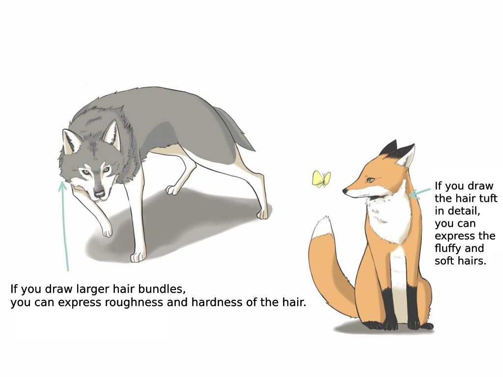 How to Draw a Fox 