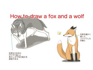 How to draw a fox and a wolf