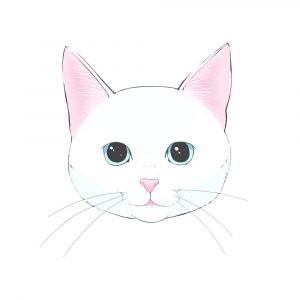 Cómo dibujar un gato (1) Cara básica