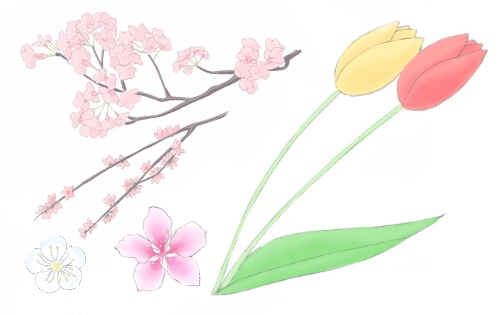 花 イラスト 綺麗 簡単 綺麗 な 花 イラスト 簡単
