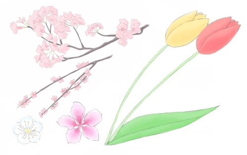 花の描き方 春 メディバンペイント Medibang Paint