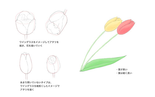 花の描き方 春 メディバンペイント Medibang Paint