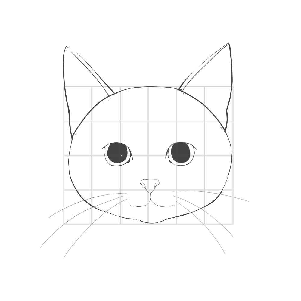 猫の描き方 基本的な顔の描き方 メディバンペイント Medibang Paint