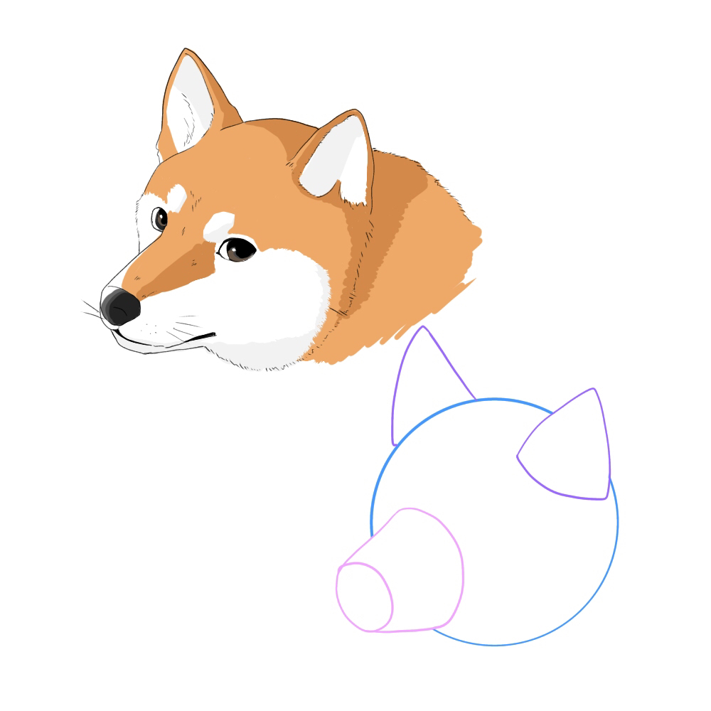 犬の描き方 基本的な顔の描き方 メディバンペイント Medibang Paint