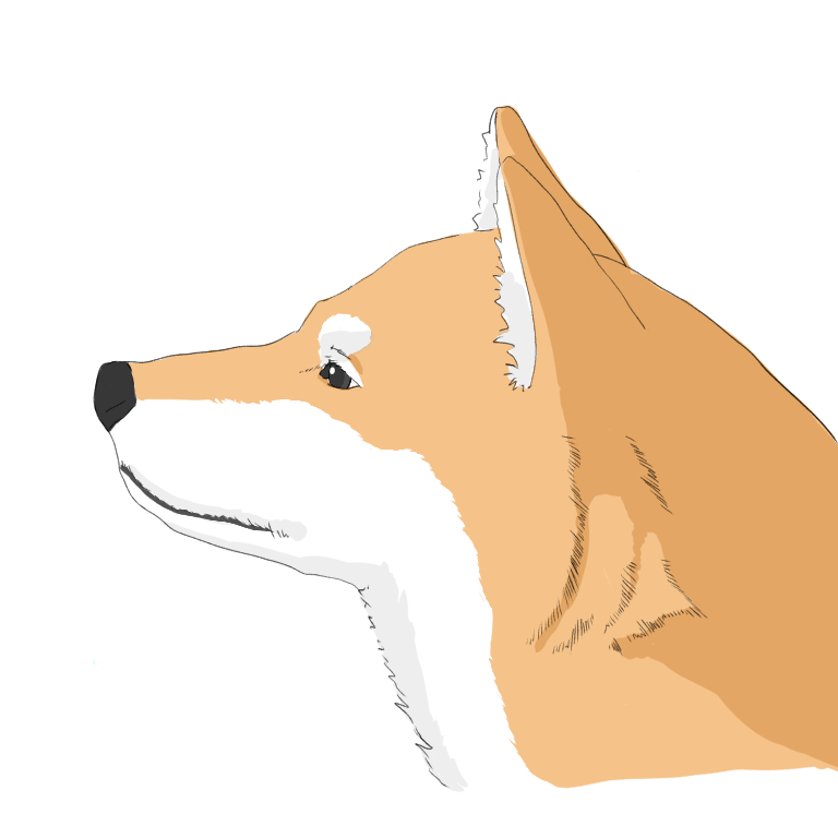 犬の描き方 基本的な顔の描き方 メディバンペイント Medibang Paint