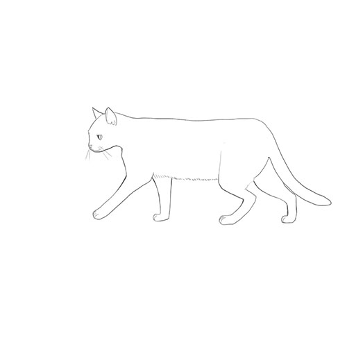 猫の描き方 体の描き方とポーズ メディバンペイント Medibang Paint