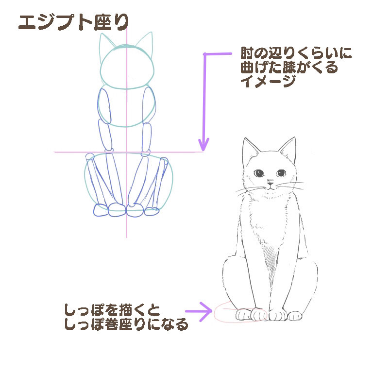 猫の描き方②体の描き方とポーズ | MediBang Paint – 無料のイラスト