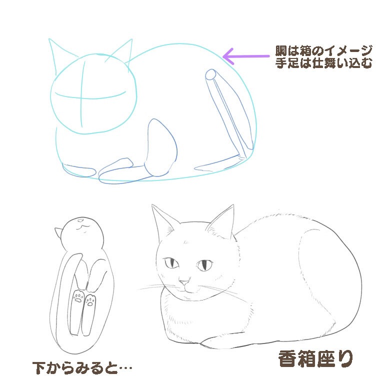 猫の描き方②体の描き方とポーズ | MediBang Paint – 無料のイラスト