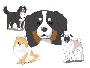 様々な種類の犬の描き方 メディバンペイント Medibang Paint