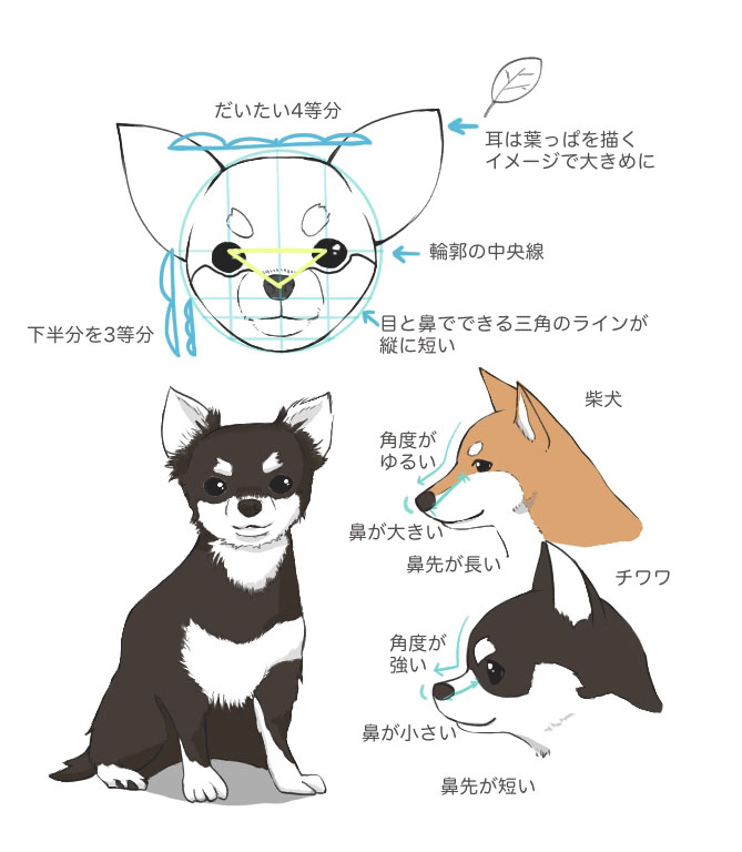 様々な種類の犬の描き方 Medibang Paint 無料のイラスト マンガ制作ツール