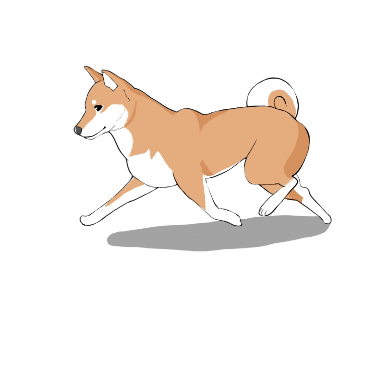 How To Draw Dogs And Cats How To Draw Dogs And Cats In Moving Poses Medibang Paint