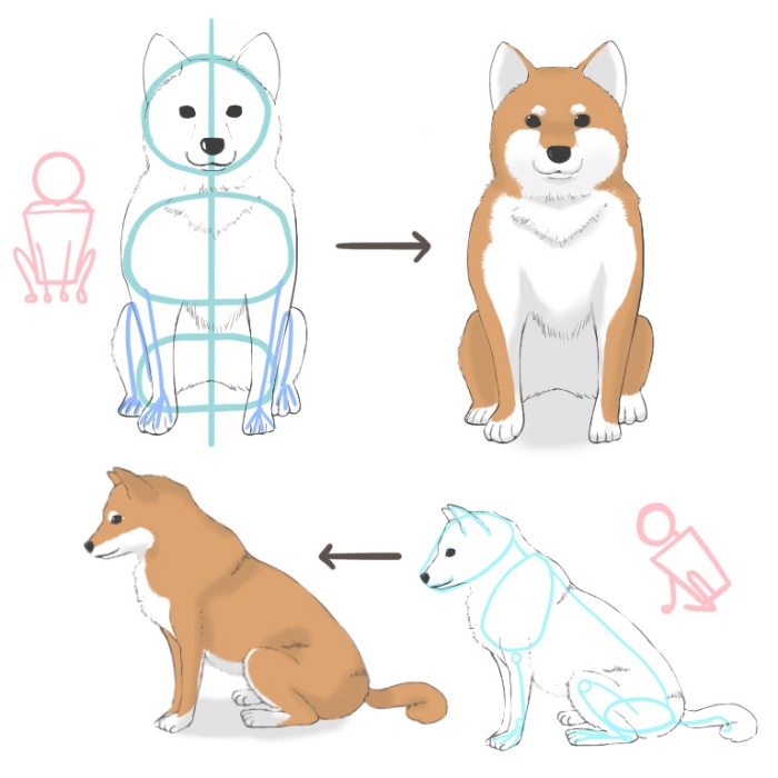犬の描き方 体の描き方とポーズ メディバンペイント Medibang Paint
