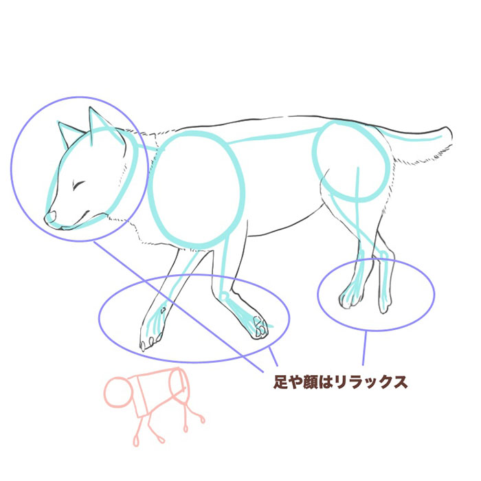 犬の描き方 体の描き方とポーズ Medibang Paint 無料のイラスト マンガ制作ツール