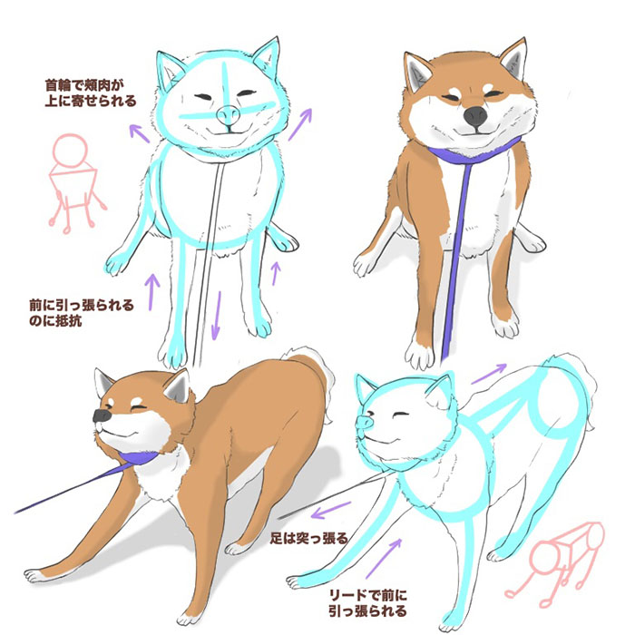 犬の描き方 体の描き方とポーズ メディバンペイント Medibang Paint