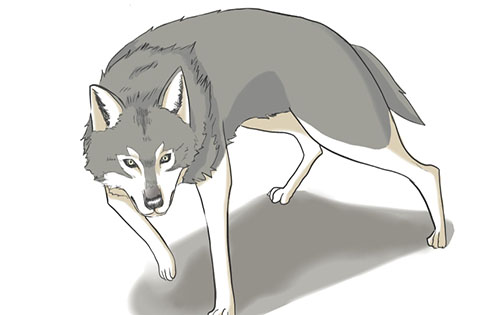 狐と狼の描き方 メディバンペイント Medibang Paint