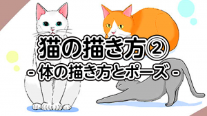 猫の描き方 基本的な顔の描き方 メディバンペイント Medibang Paint