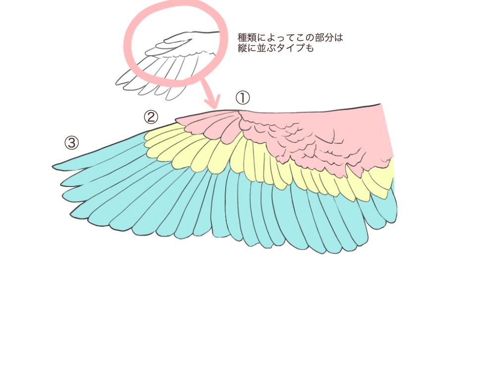 鳥の描き方 翼を描いてみよう メディバンペイント Medibang Paint