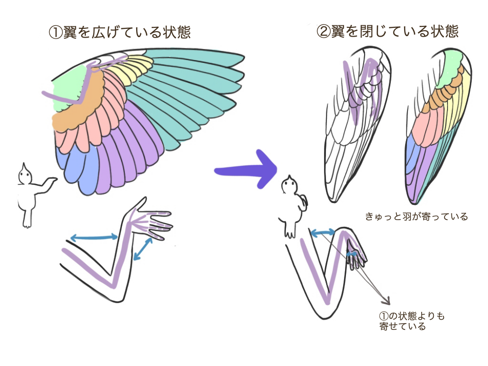 鳥の描き方 身近な鳥を描いてみよう メディバンペイント Medibang Paint