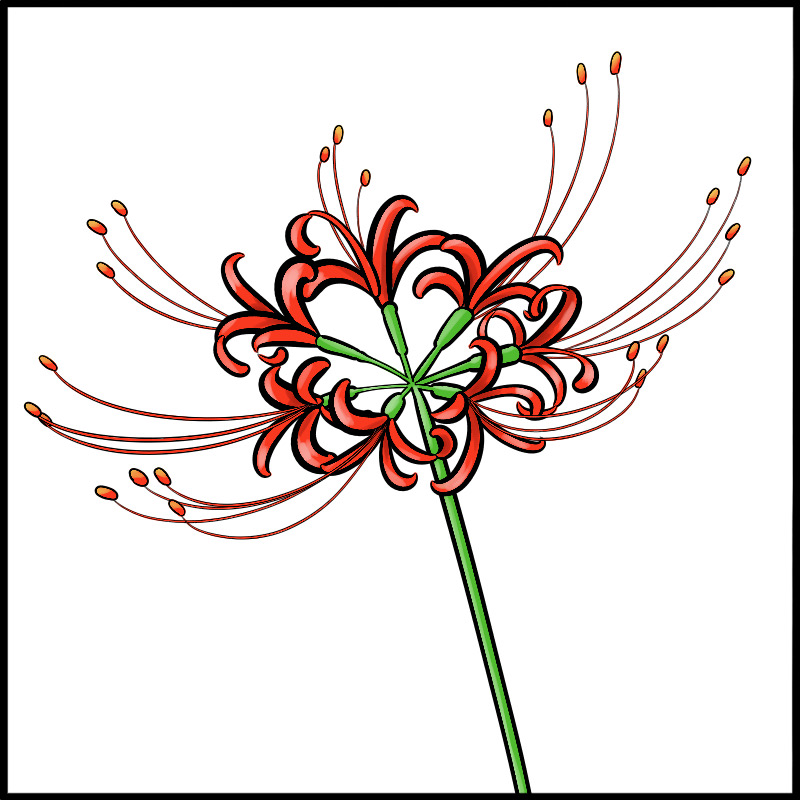 ふちペンで簡単 彼岸花を描こう Medibang Paint 無料のイラスト マンガ制作ツール