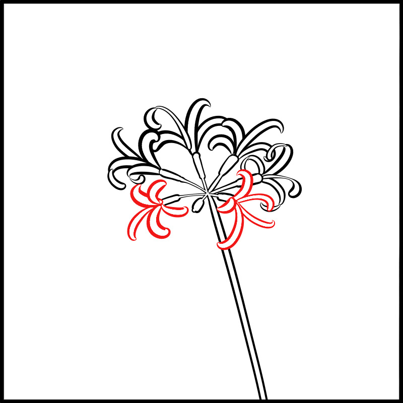 ふちペンで簡単 彼岸花を描こう メディバンペイント Medibang Paint
