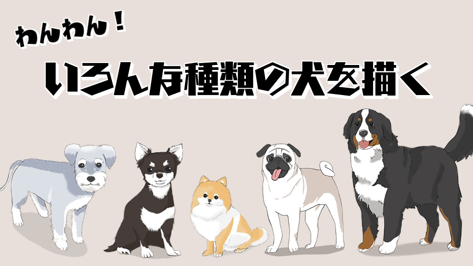 様々な種類の犬の描き方 メディバンペイント Medibang Paint