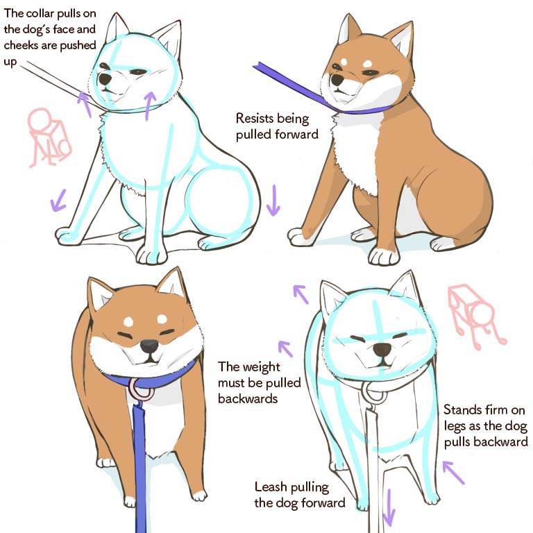 How to draw a dog (2) How to draw the body and pose MediBang Paint
