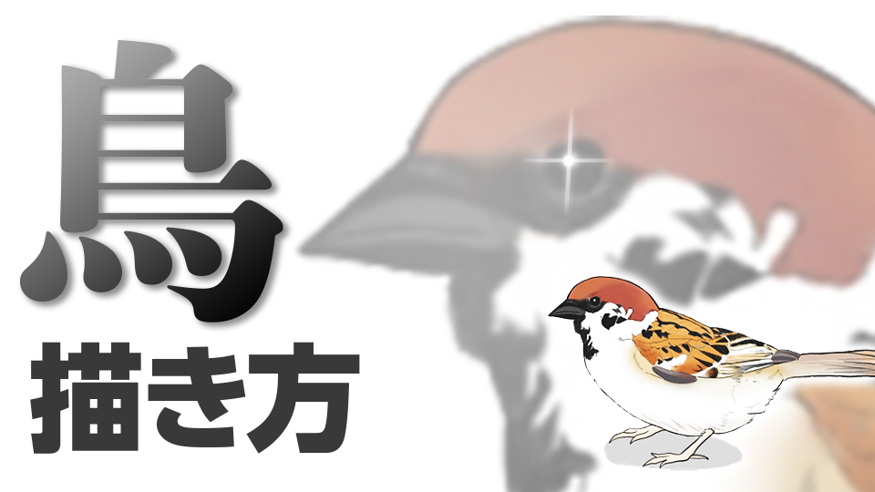 鳥の描き方 身近な鳥を描いてみよう メディバンペイント Medibang Paint