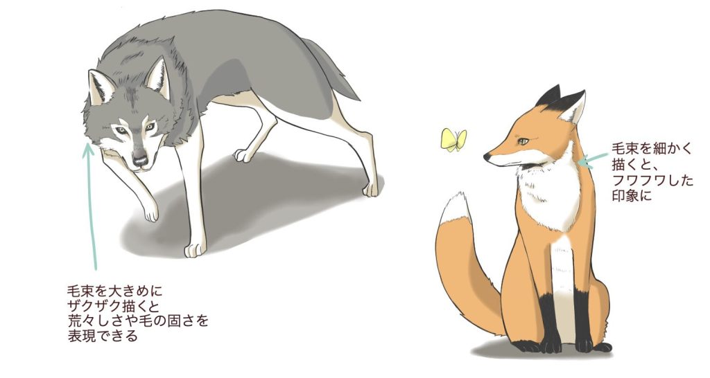 狐と狼の描き方 Medibang Paint 無料のイラスト マンガ制作ツール