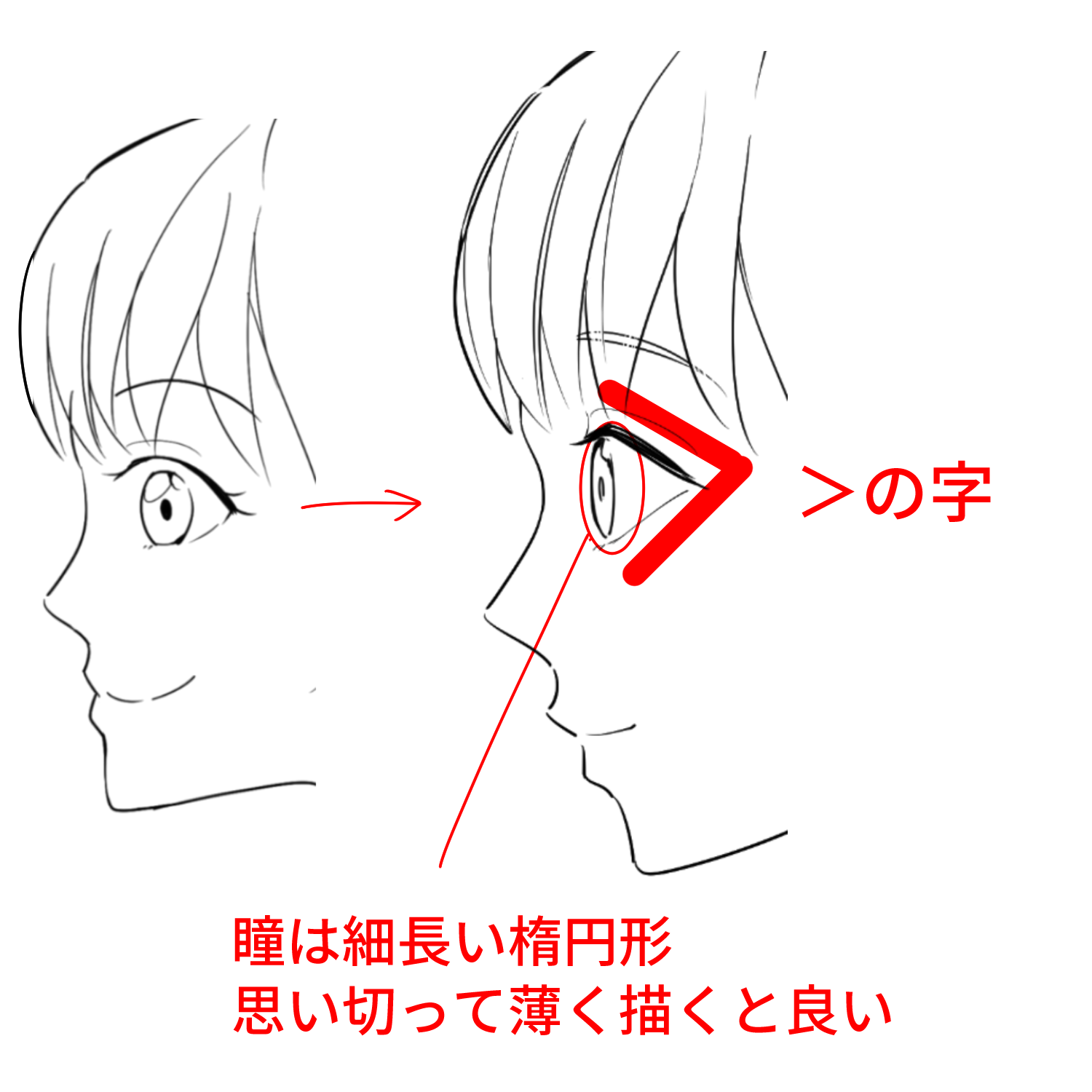 初心者向け 横顔の描き方を学ぼう メディバンペイント Medibang Paint