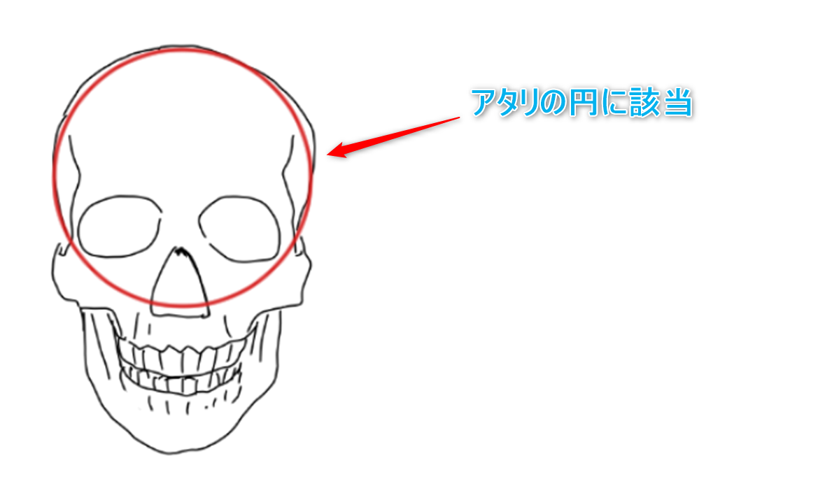 正面顔を描いてみよう 基本編 メディバンペイント Medibang Paint