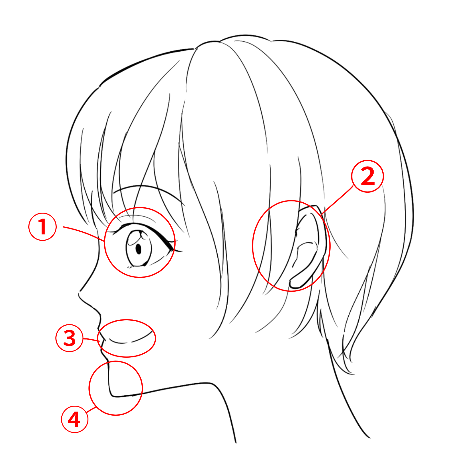 How to Draw Manga-Style Faces - FeltMagnet