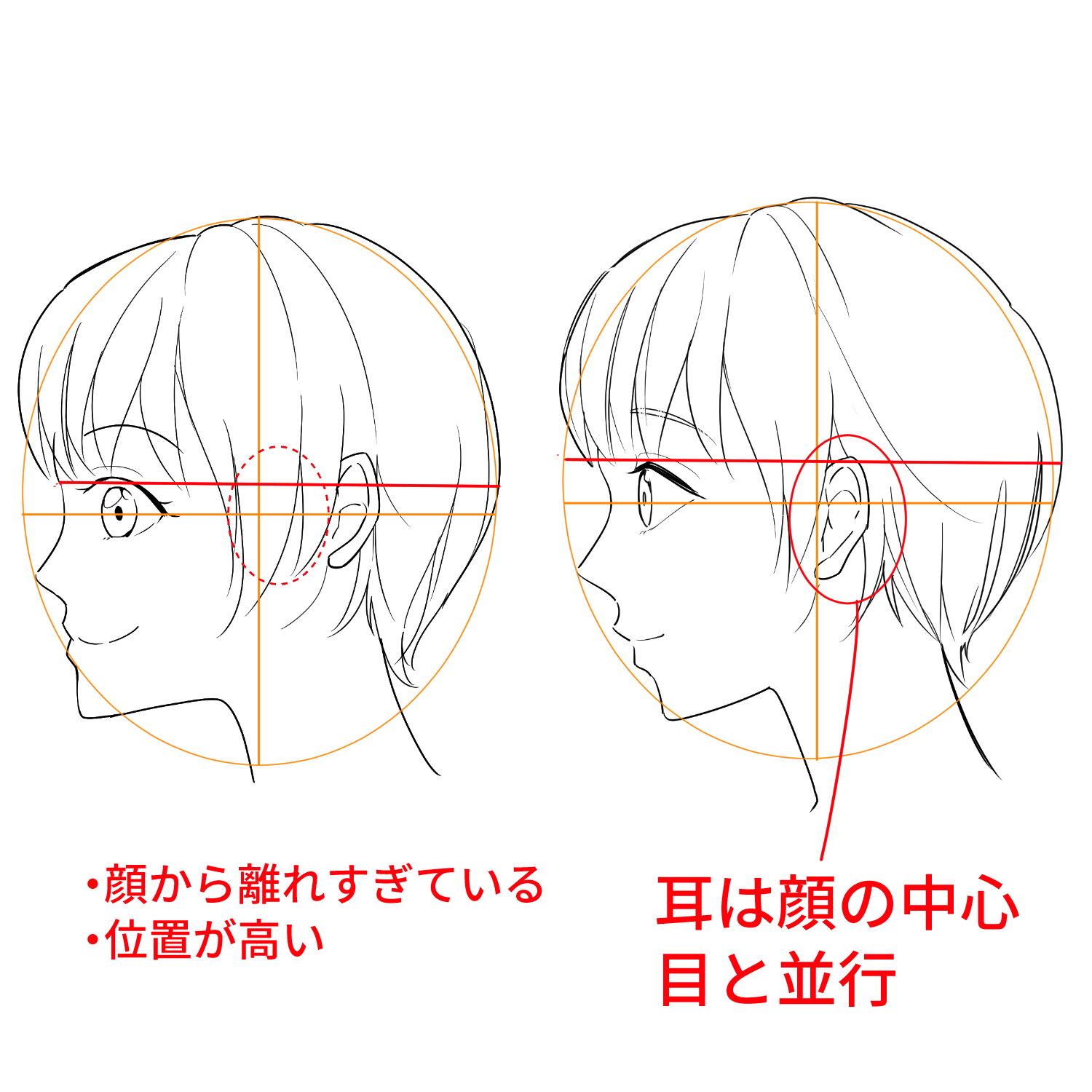 初心者向け 横顔の描き方を学ぼう メディバンペイント Medibang Paint