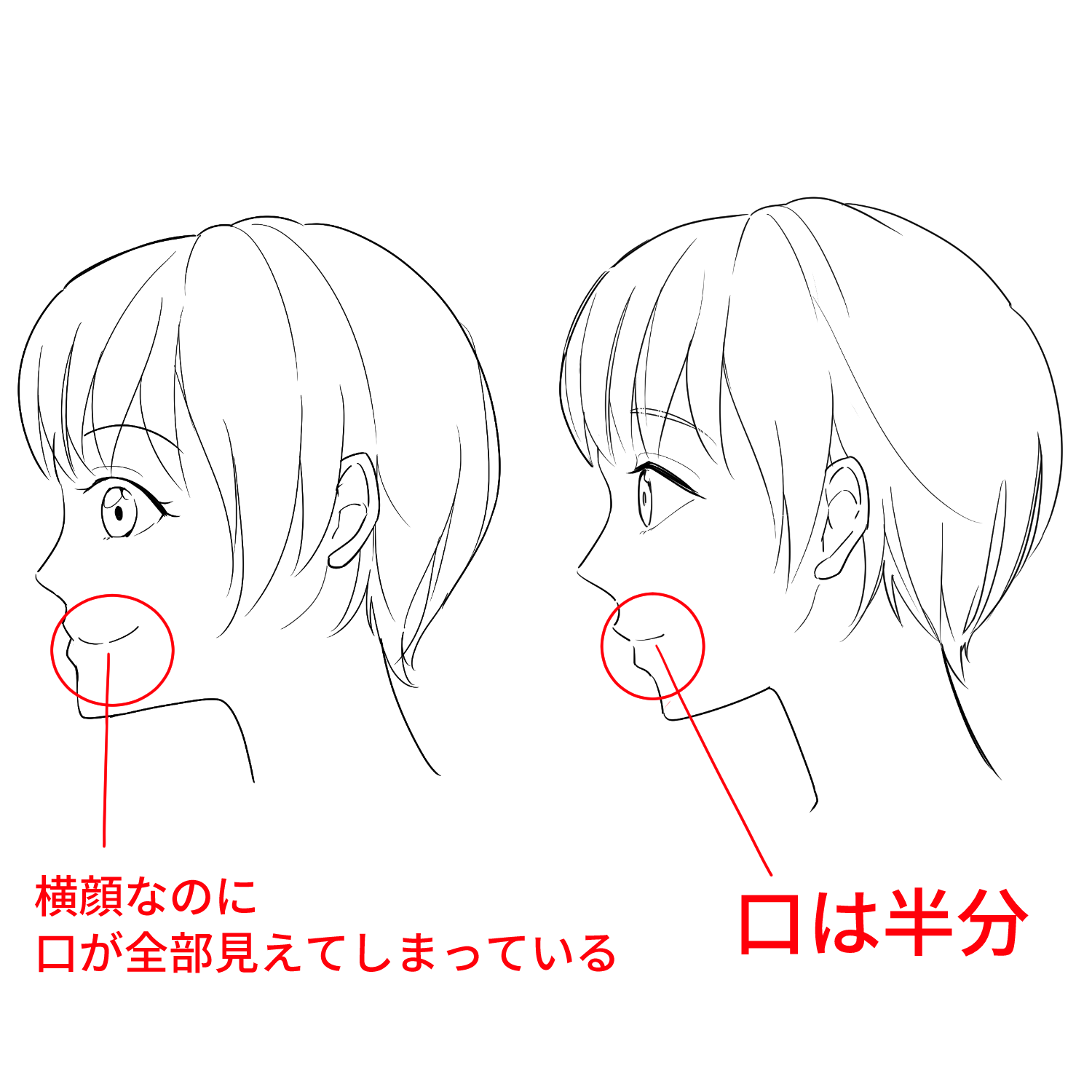 初心者向け 横顔の描き方を学ぼう メディバンペイント Medibang Paint