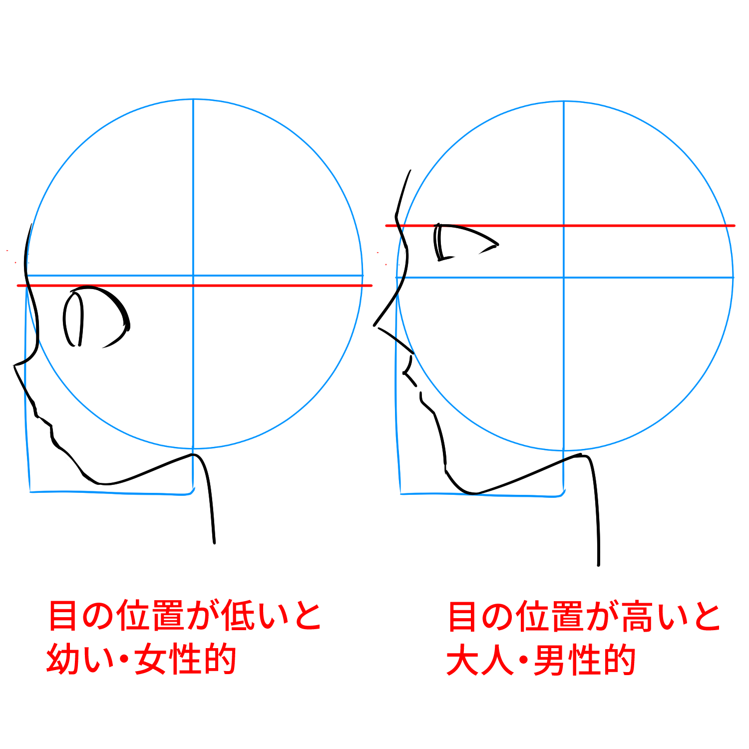 初心者向け 横顔の描き方を学ぼう メディバンペイント Medibang Paint