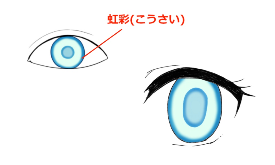 自分ならではの瞳を描こう 瞳の構造と描き方講座 カラー編 メディバンペイント Medibang Paint