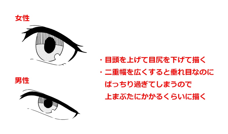 anime production  What are Tsurime Eyes and Tareme Eyes Why do the  characters have them  Anime  Manga Stack Exchange
