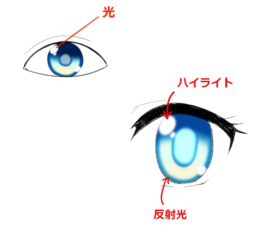 自分ならではの瞳を描こう 瞳の構造と描き方講座 カラー編 Medibang Paint 無料のイラスト マンガ制作ツール