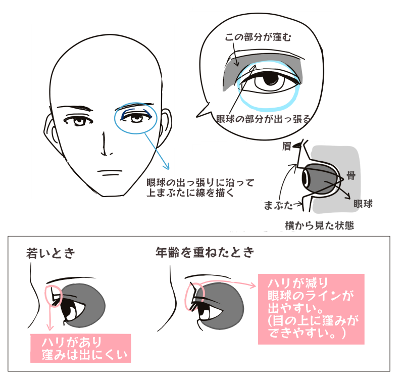 年齢別 キャラの描きわけ ここを押さえれば簡単 おじさんを描く6つのコツ メディバンペイント Medibang Paint