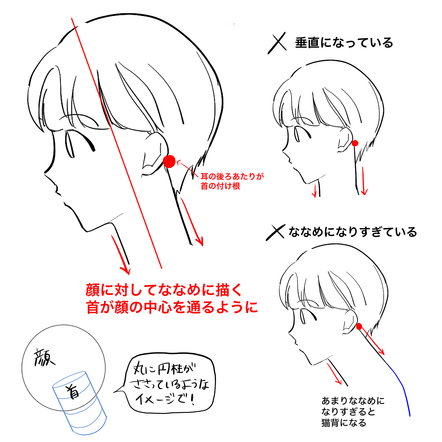 初心者向け 首の描き方を学ぼう Medibang Paint 無料のイラスト マンガ制作ツール