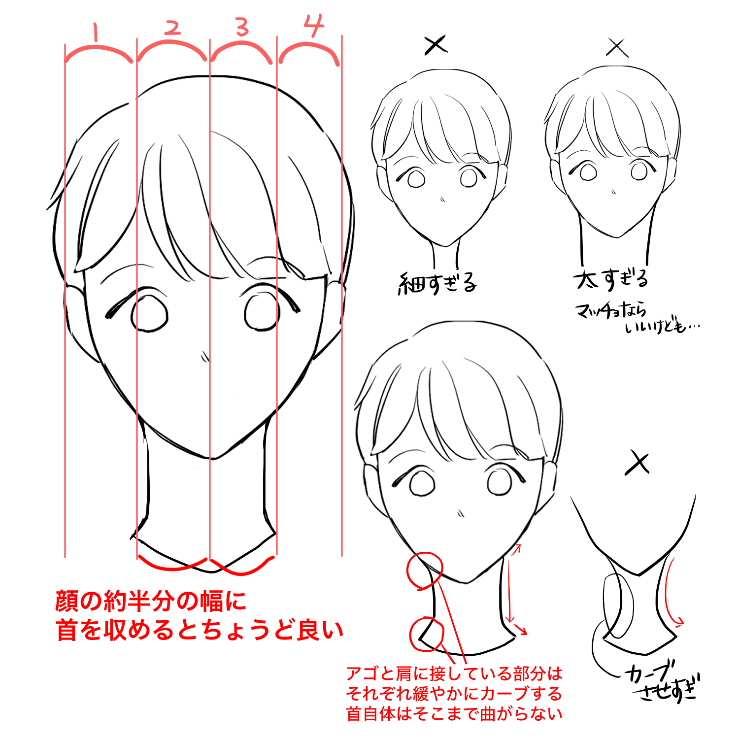 初心者向け 首の描き方を学ぼう Medibang Paint 無料のイラスト マンガ制作ツール