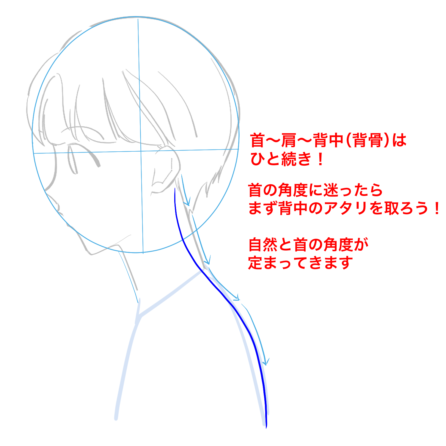 初心者向け 首の描き方を学ぼう Medibang Paint 無料のイラスト マンガ制作ツール