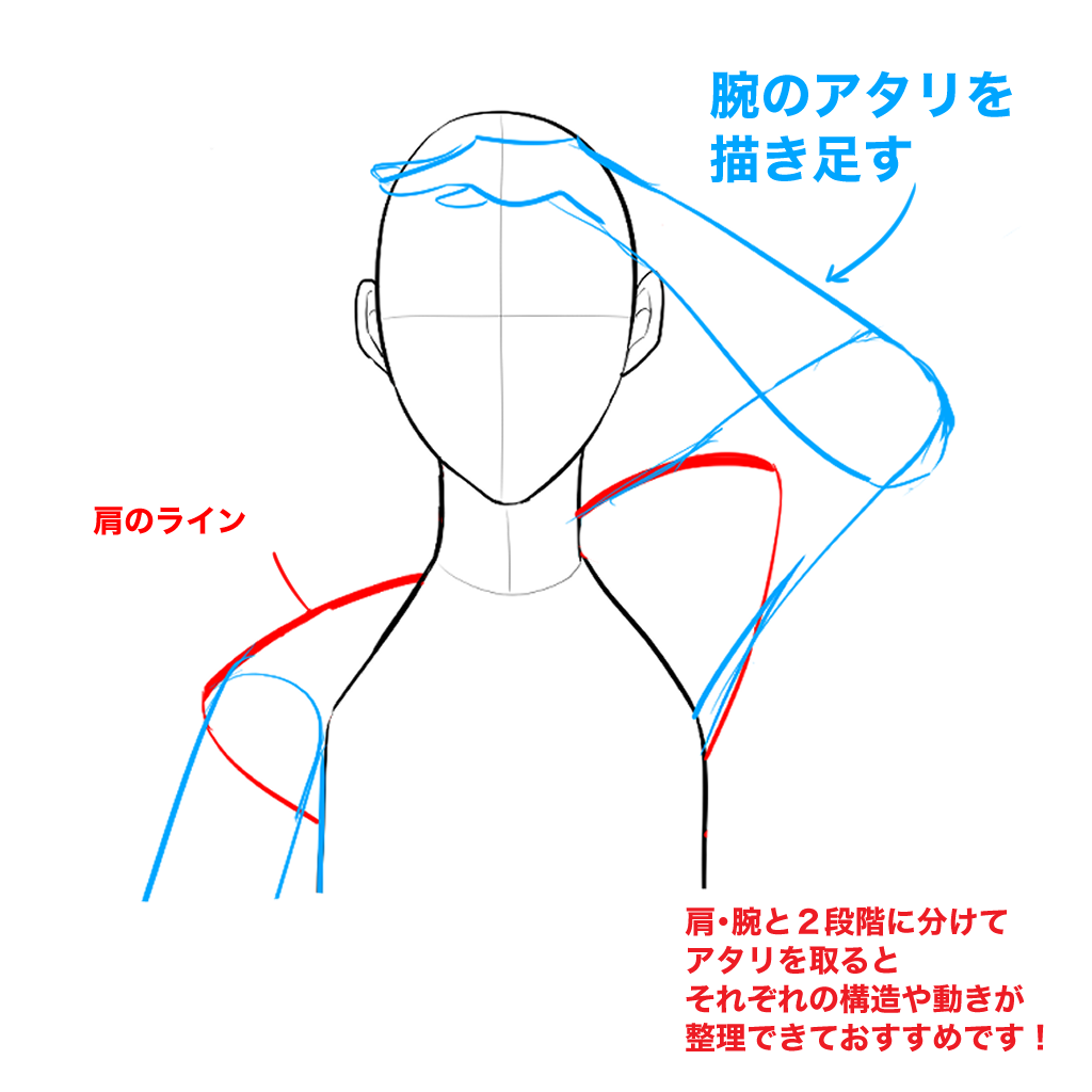 初心者向け 肩の描き方を学ぼう Medibang Paint 無料のイラスト マンガ制作ツール